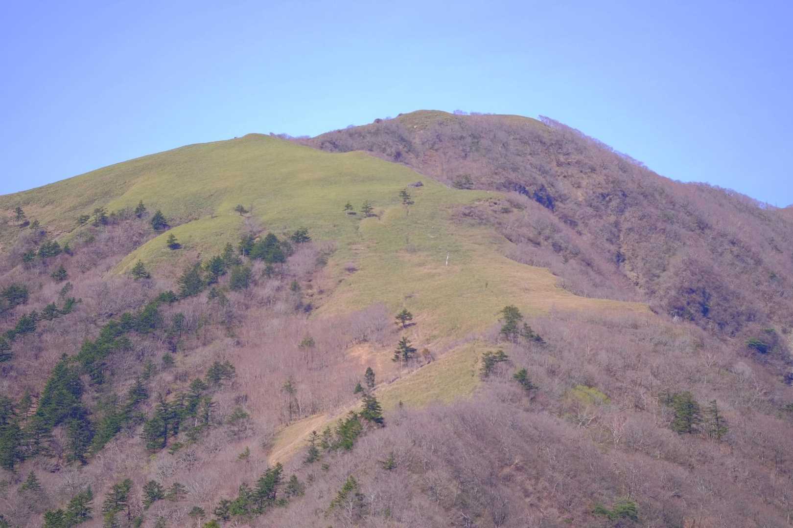 大永山トンネル口-大坂屋敷越-獅子舞の鼻-ちち山 往復コースの写真