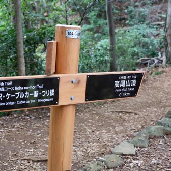 ４号路で山頂へ