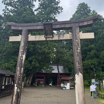 行っています
