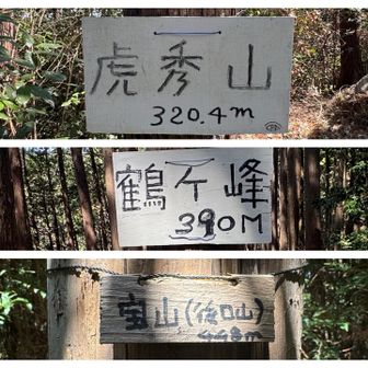 虎秀山…320.4m（初）
鶴ヶ峰…390m（初）
 宝  山 …448m（初）


いずれもグリーンピーク、
いずれも展望ありません。

「うちら、ついこの間までグレーピークでやらせてもらってたっス」

的な雰囲気醸し出してました。

ちなみに最初の虎秀、「こしゅう」と読みます