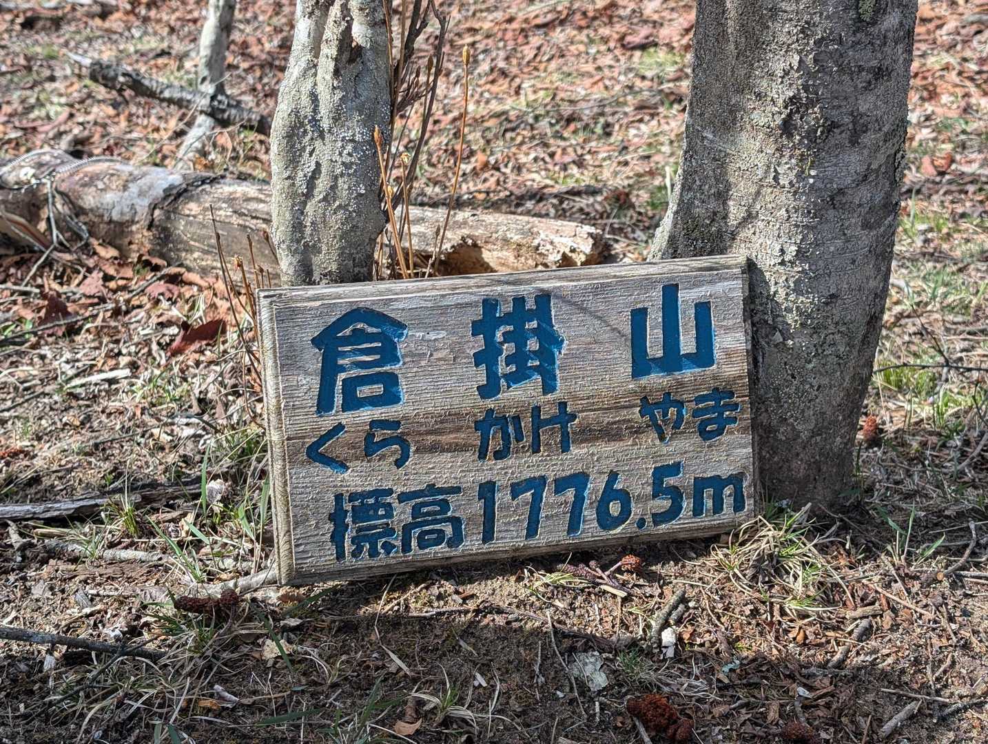 柳沢峠-鈴庫山-ハンゼノ頭-藤谷ノ頭-萩尾-倉掛山 周回コースの写真