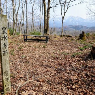 薬師山 山頂広々でベンチが２基
展望も良くここでお弁当に😚
