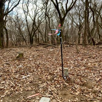 振野の山頂(急登)