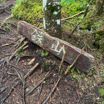 鉄山（くろがねやま）への分岐
ロープが張ってあって登れないのかと思ったけど、どうやら登れるらしいので、当初の計画では登る予定でした
でも、この写真を撮った後、ざーーーっと雨音が強くなり
これは早く小屋に行け、ということなのかと思い、ちょっと迷ったけど行かないことにしました😐