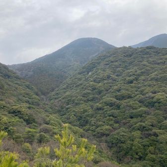 仰ぎ見る山々は雨に煙る
まもなく春から一気に夏模様になるはず