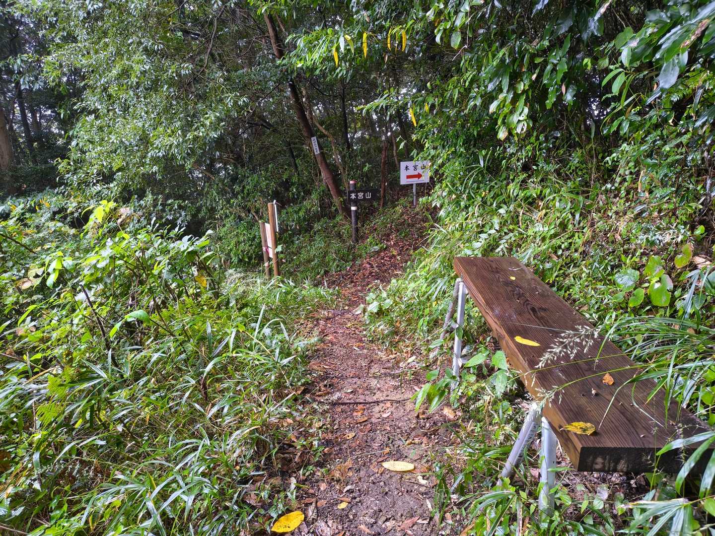 ベンチがある分岐に到着🙌
