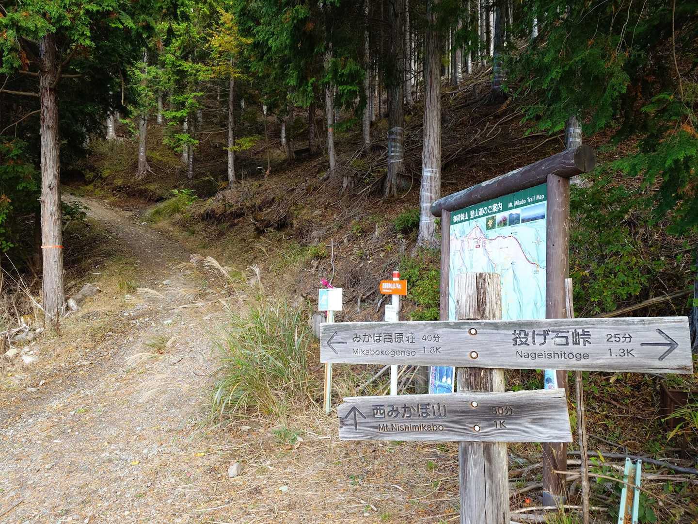西御荷鉾山南登山道入口
駐車場の真ん前にあります
山道は整備されていて歩きやすかったです🚶‍♂️