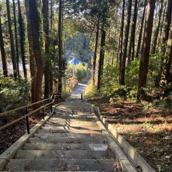 50歳すぎると階段は股関節が痛くなるらしい🤫