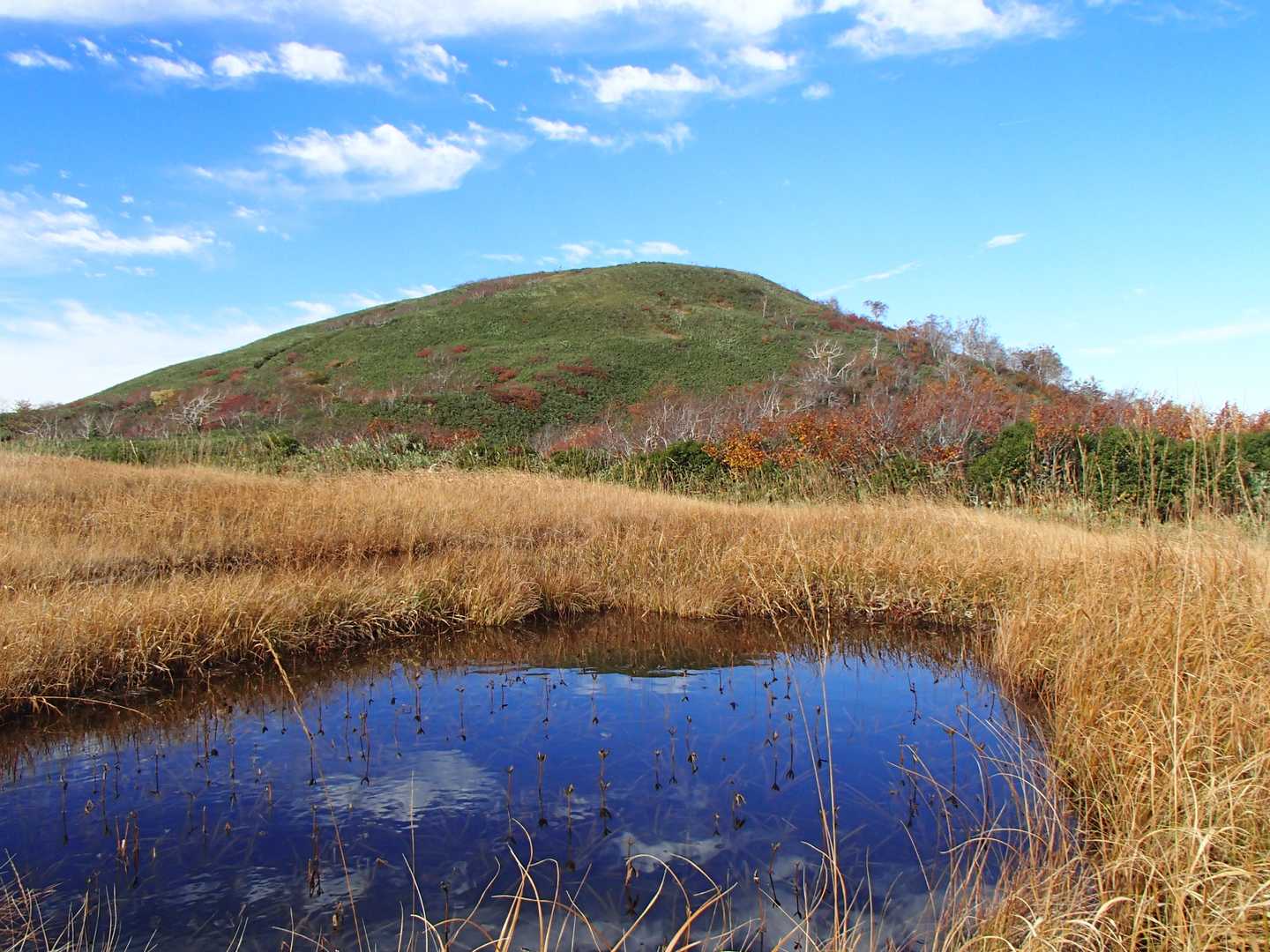 湿原から山頂を望む