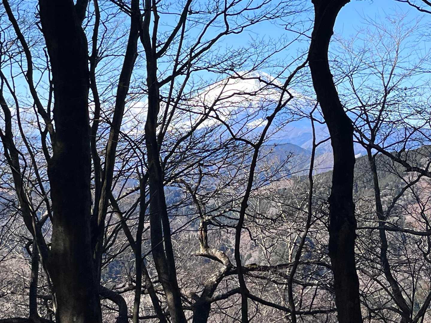 高松山入口バス停-ビリ堂-高松山-フトウ山-桜丸-ダルマ沢 縦走コースの写真