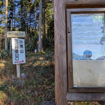 三の谷登山口着いた
後は林道歩きです