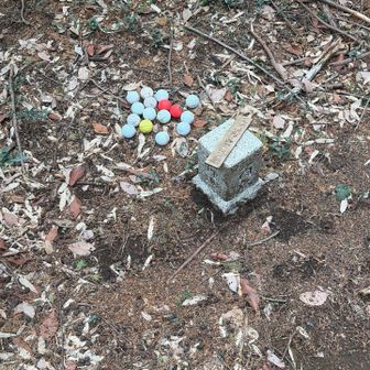 館入沢ノ頭⛰️