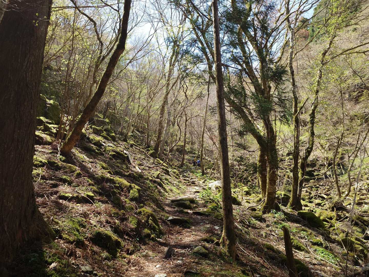赤星山-豊受山 周回コースの写真
