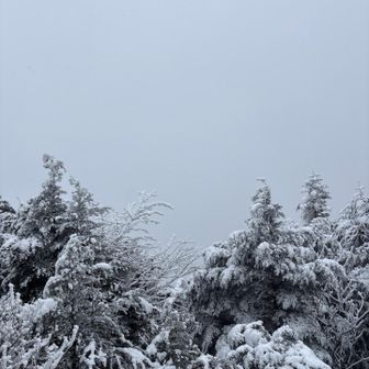ま、当然だわね☁️