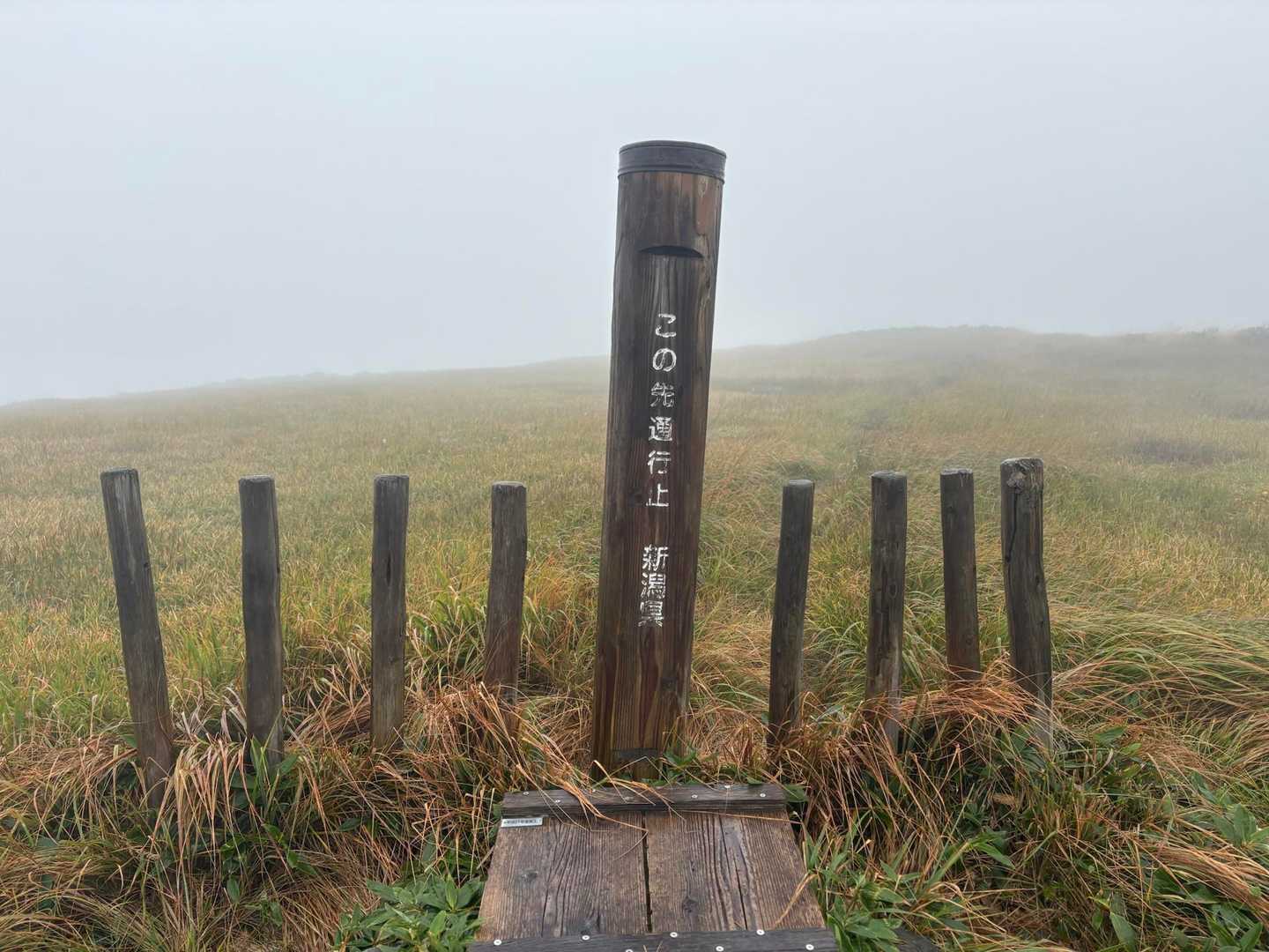 行き止まりが最高地点らしい