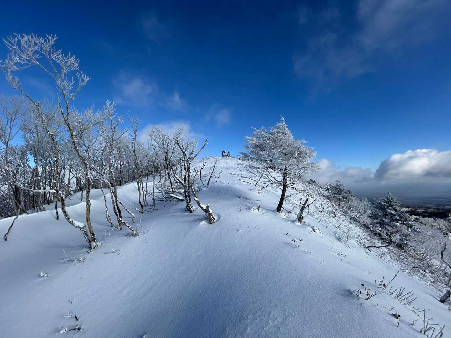 途中から先頭になり
気持ちいい新雪を踏ませてもらう
なんか申し訳ない