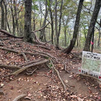 この辺からか風が強かった
