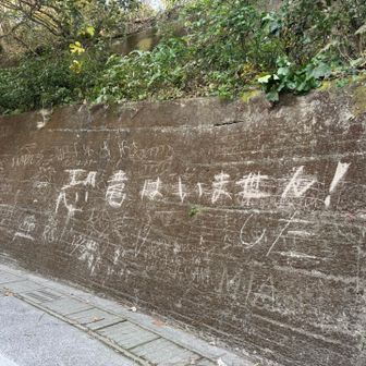 恐竜はいません