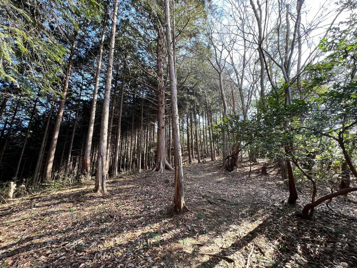 もうちょっとで雁又山🙇‍♂️