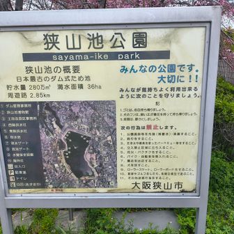 山さん