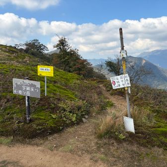やっっっっっと、、、竜ヶ岳登山道に合流...
絶賛シャリバテ