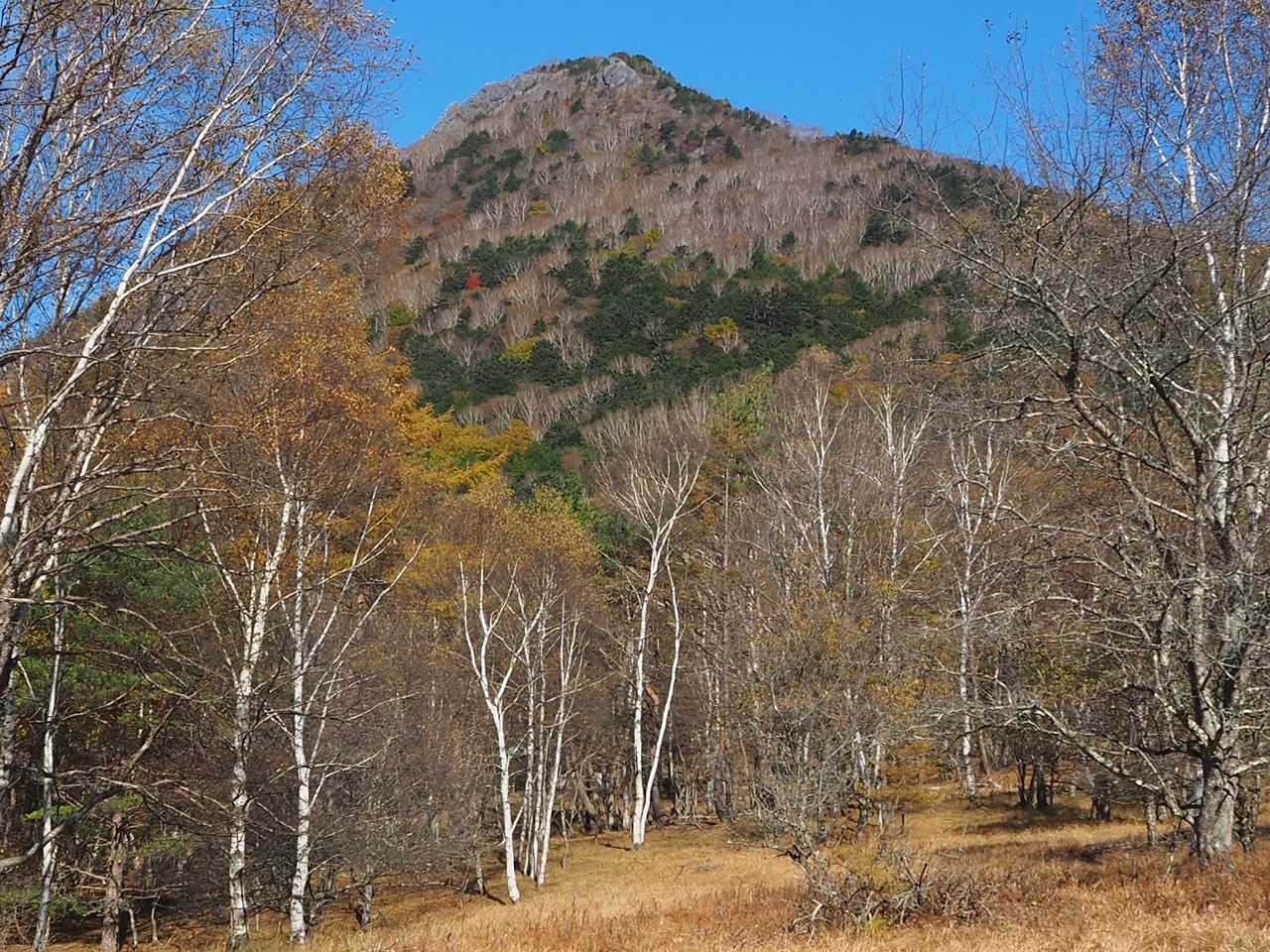 目指すはあの山の頂🤩

まだ後一つ山登るのね