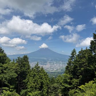 乙女峠からの富士山