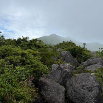 北横岳が見えました