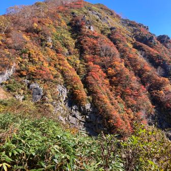 紅葉に燃ゆる小朝日岳