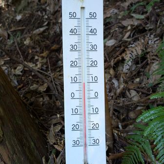 登山口の気温は10℃　落とし物かな？伯耆大山のピンバッジ😱