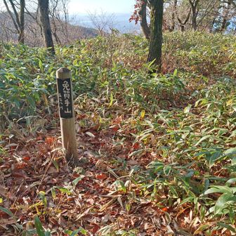 メガンテ山到着（香原城跡）