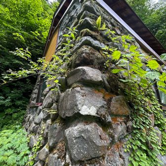 駒鳥小屋

鳥越峠からロープ降りたあとでルートミス

おそらく迷う人多いのかしっかり道がついてる
要注意です