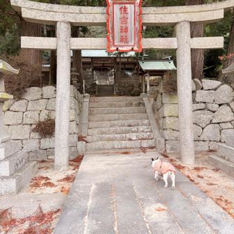 無事戻ってきました

ありがとうございました。