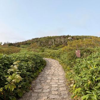登っているのですが、登っている感覚は無く、登山している感覚でもありません☺️でも気持ちいい