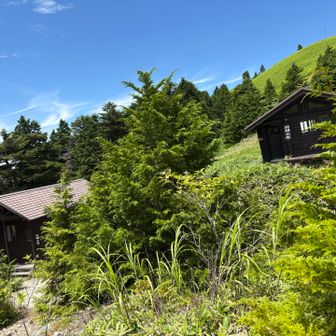 神坂小屋