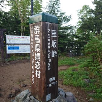 車坂峠から歩き始めます、この時点で標高が高いので涼しい