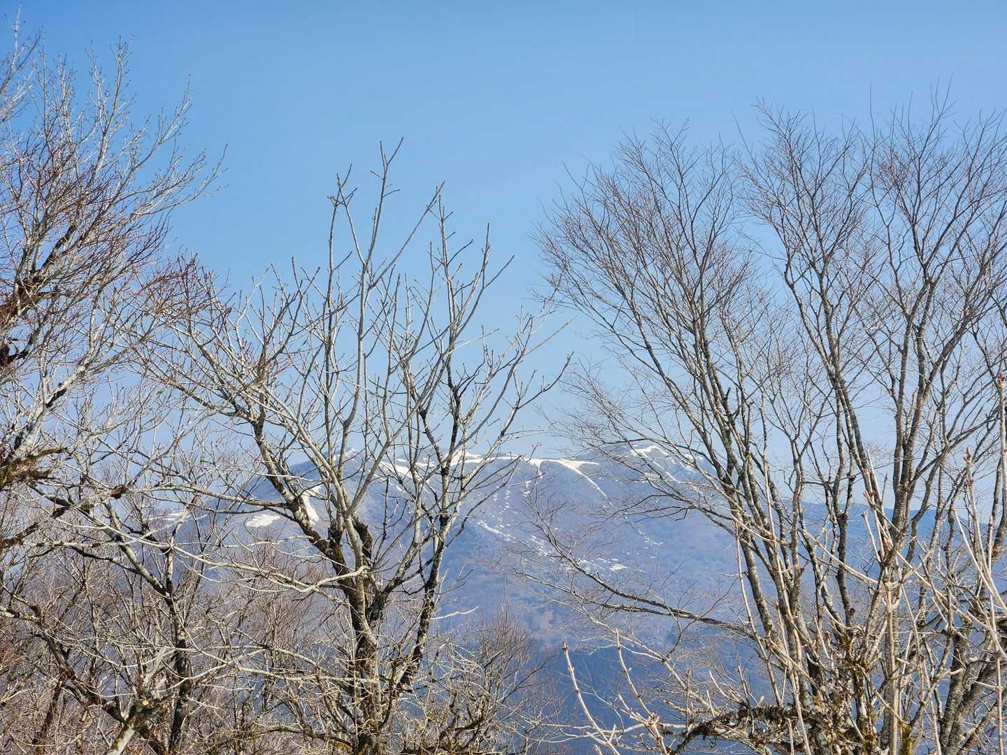 振り返って✨霊仙山