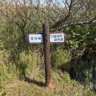 久種湖畔コース歩きます