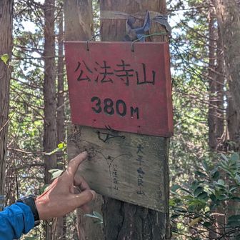 公法寺山380m