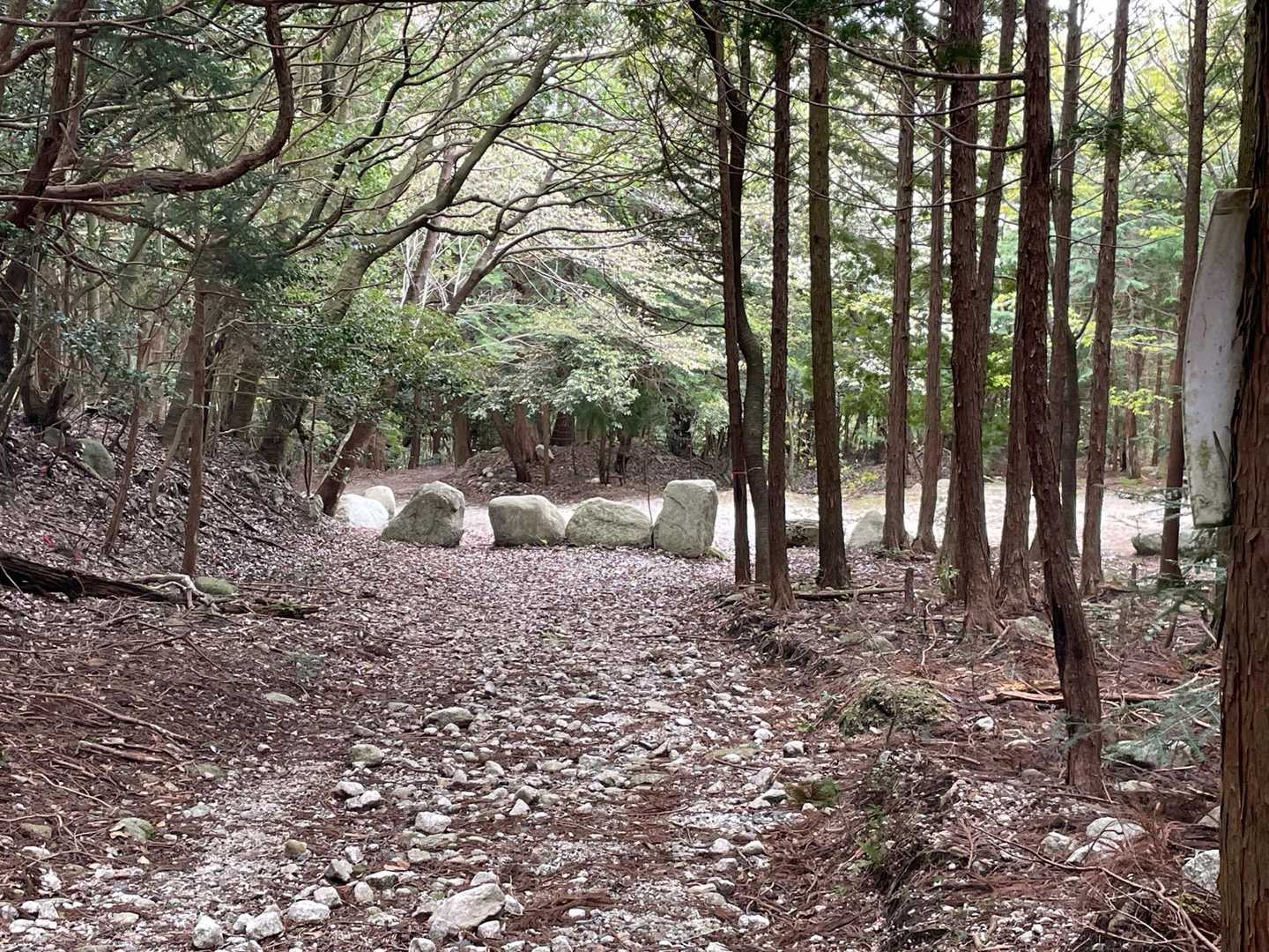 長い河原歩きが足にきた😂
本日も無事下山に感謝です。駐車場までもうひと歩き