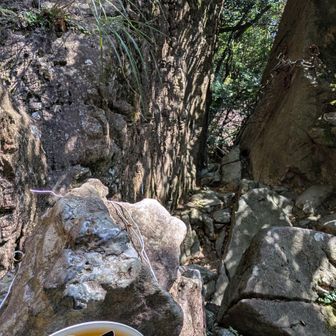 奥の院へのハサミ岩