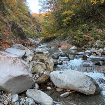 尿前川を渡渉します。
今年は、数か所岩伝いで渡れる感じです。