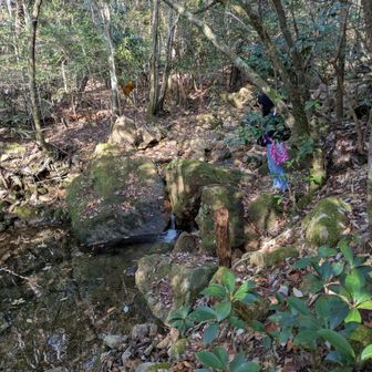 下山は牛岩集落へ
激下りが続いた後は渡渉がありました。