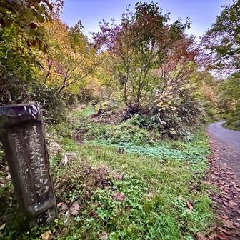 翌朝。風吹大池へ🚶
(いつもスルーしてたがようやく)