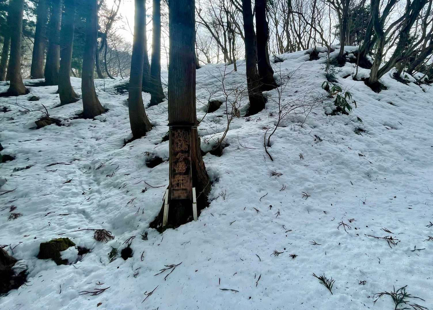 地味な胡桃ヶ岳登山口1/2