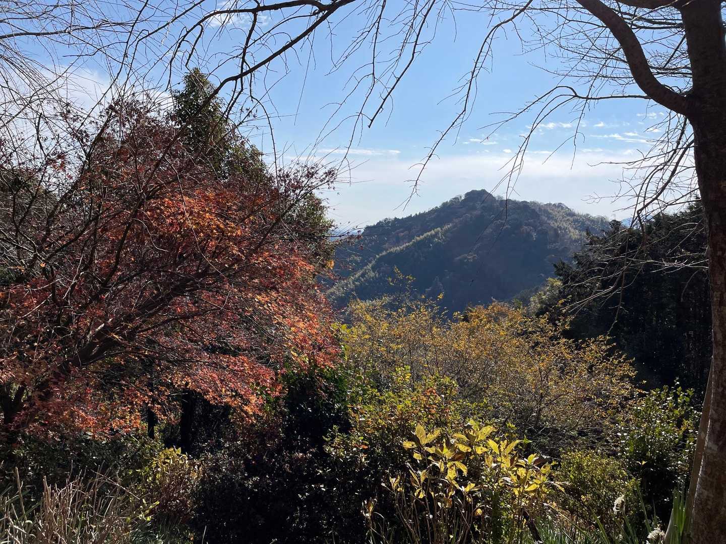 浅間神社登山口-浅間山-賤機山-茶臼山 往復コースの写真