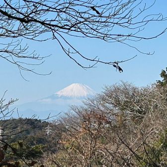 富士山真っ白🗻✨