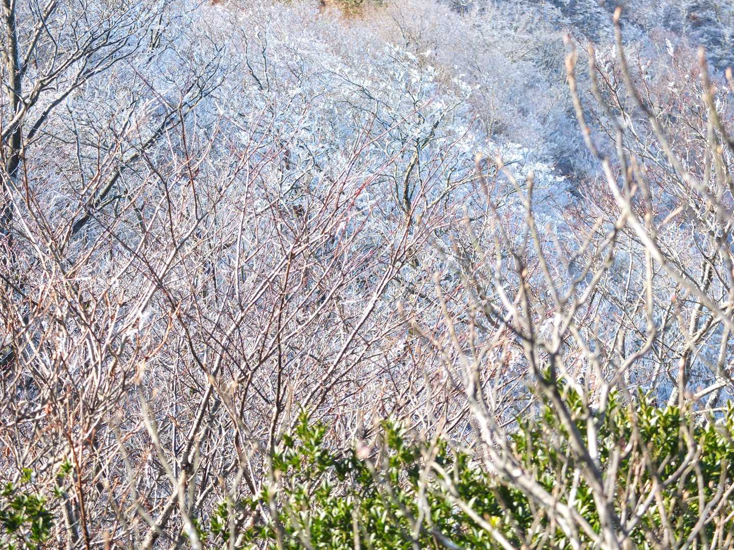 とてもキレイ