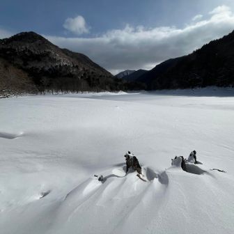 怖くて湖面は歩けない😨