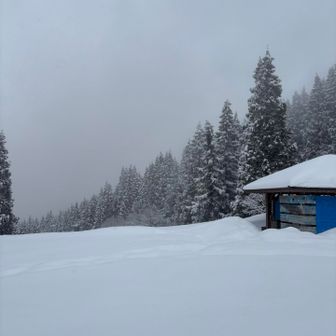 誰もいないと…と、思うと